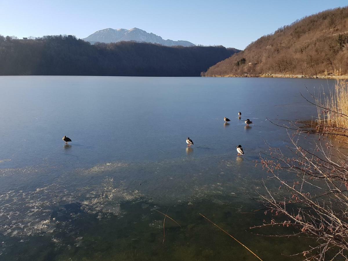 Appartamento Nido Levico Terme Buitenkant foto